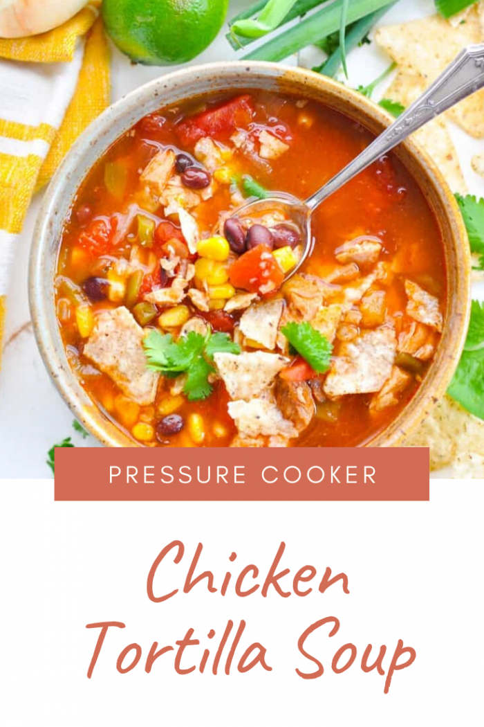 Pressure Cooker Chicken Tortilla Soup – HERTHEO