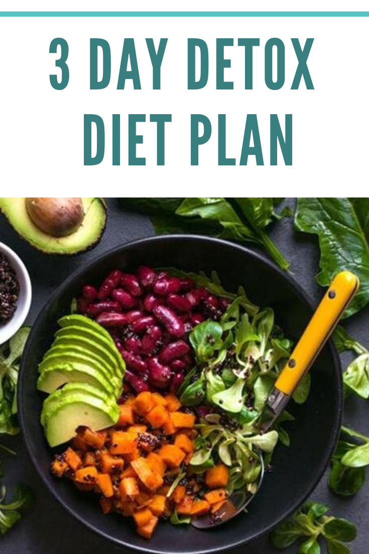 3 Day Detox Diet Plan HERTHEO